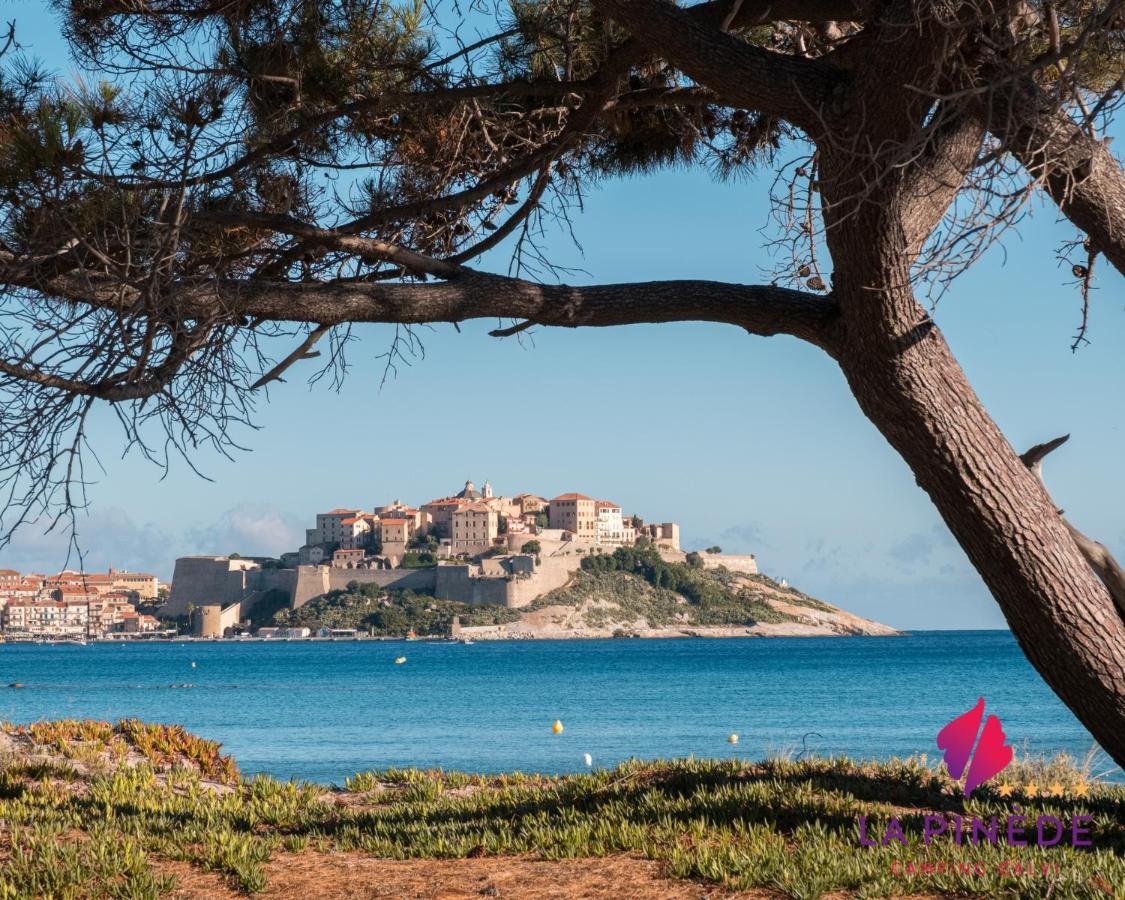La Pinede 4* Calvi (Corsica)